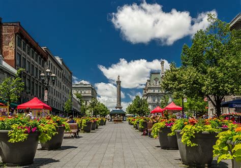 place jacques carter old montreal.